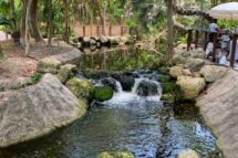 Jungle Island – công viên độc đáo ở Miami