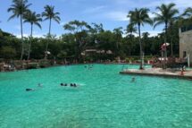 Ghé thăm hồ bơi Venetian (Venetian Pool) ở Miami